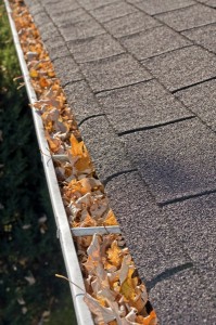 Clogged Gutters - Northern VA, MD, Wash DC - Winston's Chimney Service