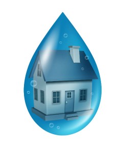 Anytime moisture gets into your chimney, you are likely to have mold growing. Call us today to discuss mold removal.