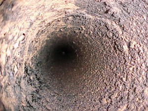 Chimney Creosote build up in Chimney - Northern Virginia - Winston's Chimney Service