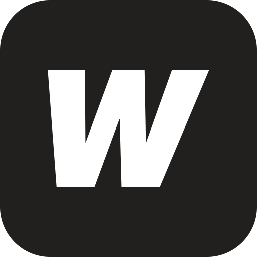Winston's Chimney Service logo