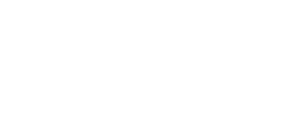 White and Blue Winston's Chimney Service Logo
