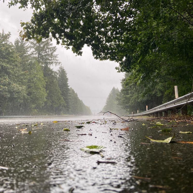 a road being rained on with trees in the background