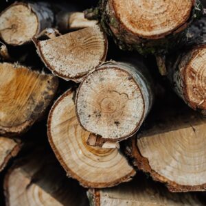 a close up view of the ends of wood in a pile