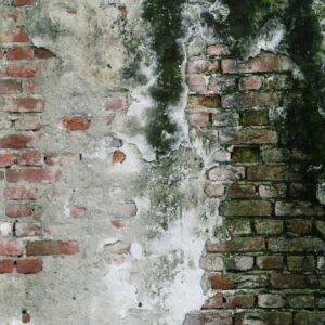 moldy, water damaged, stained brickwork